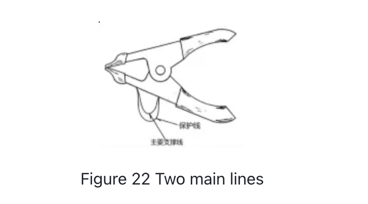 1736393490136-image.png